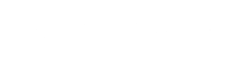 PAYDIRT TEXAS